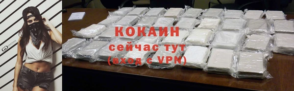 шишки Каменка