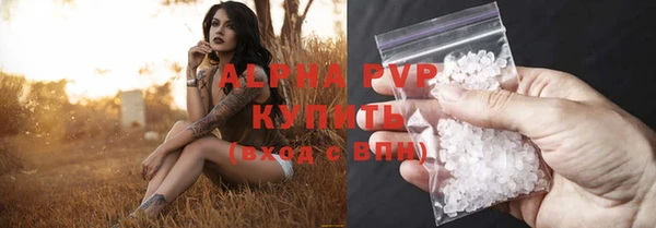 шишки Каменка