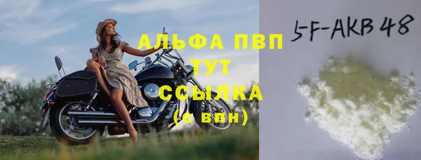 шишки Каменка