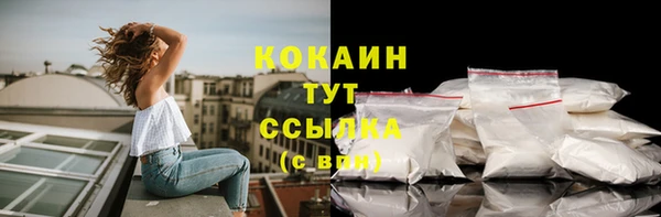 шишки Каменка