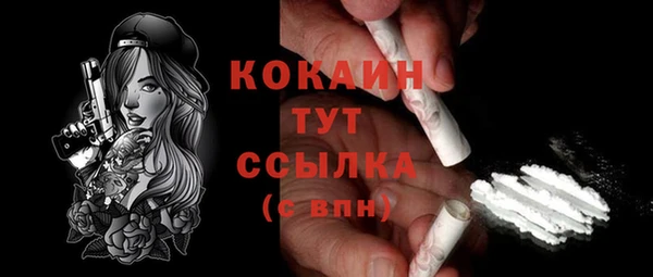 шишки Каменка