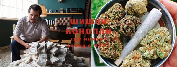 шишки Каменка