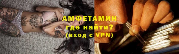 шишки Каменка