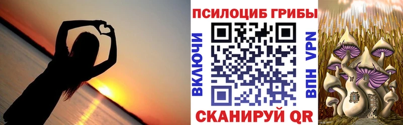 Галлюциногенные грибы Magic Shrooms  Купить  Асбест 